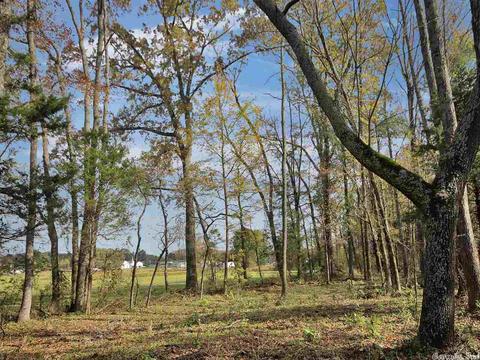 27 Beaverfork, Conway, AR 72032 photo 8