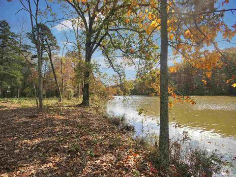 27 Beaverfork, Conway, AR 72032 photo 5