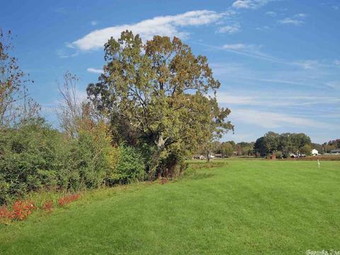 27 Beaverfork, Conway, AR 72032 photo 13