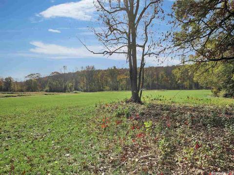 27 Beaverfork, Conway, AR 72032 photo 14