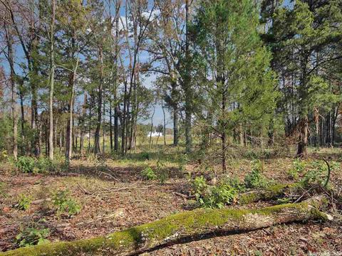 27 Beaverfork, Conway, AR 72032 photo 7