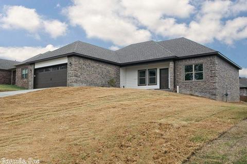 806 Mango Loop, Austin, AR 72007 photo 2