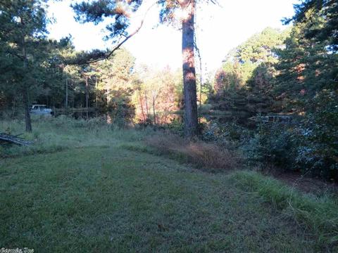 1300 Mt Elba, Rison, AR 71665 photo 23