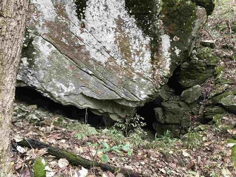 4082 377 Hwy, Marshall, AR 72650 photo 9