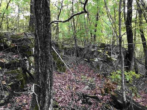 4082 377 Hwy, Marshall, AR 72650 photo 13