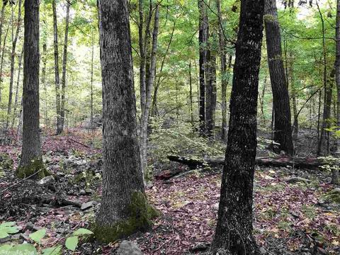 4082 377 Hwy, Marshall, AR 72650 photo 6