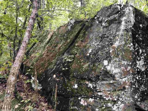 4082 377 Hwy, Marshall, AR 72650 photo 12