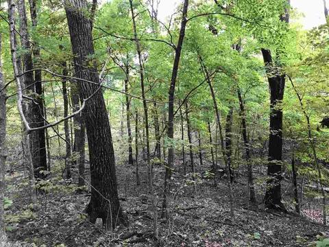 4082 377 Hwy, Marshall, AR 72650 photo 11