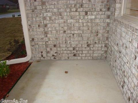 141 Meadow Dr, Beebe, AR 72012 photo 3