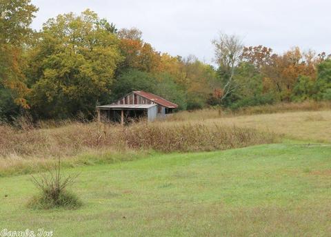 299 Apache, De Queen, AR 71832 photo 2
