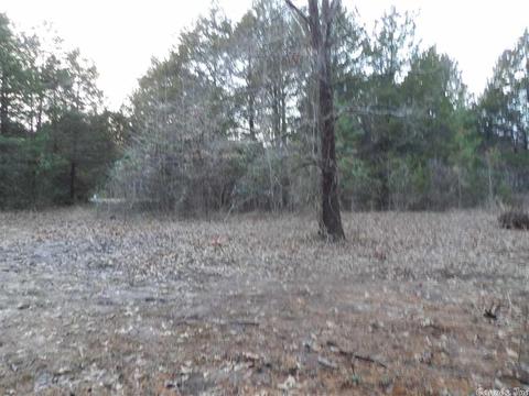 38 Robin, Greers Ferry, AR 72067 photo 10