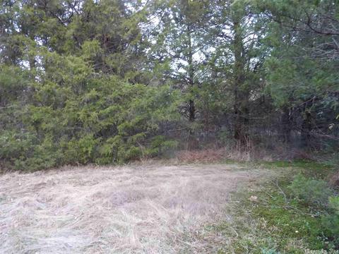 38 Robin, Greers Ferry, AR 72067 photo 7