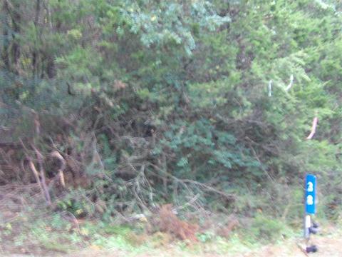 38 Robin, Greers Ferry, AR 72067 photo 1