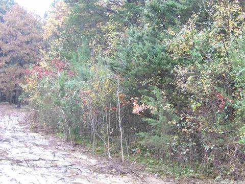 38 Robin, Greers Ferry, AR 72067 photo 2