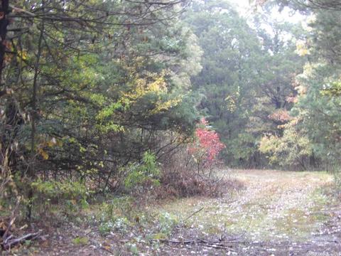 38 Robin, Greers Ferry, AR 72067 photo 5