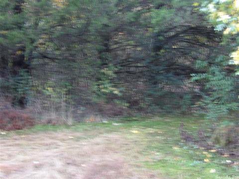 38 Robin, Greers Ferry, AR 72067 photo 4