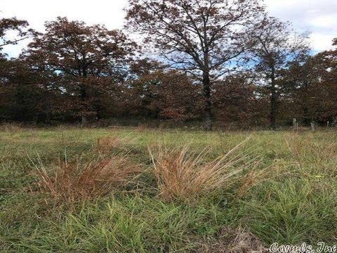 16 Timbercrest, Greenbrier, AR 72058 photo 5