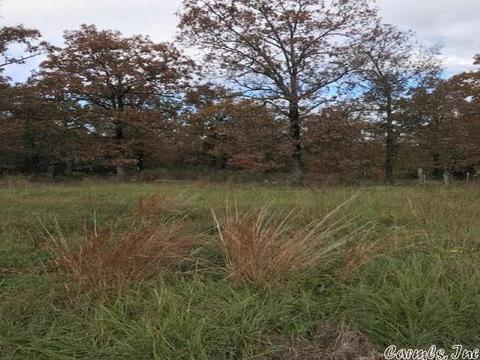 16 Timbercrest, Greenbrier, AR 72058 photo 6
