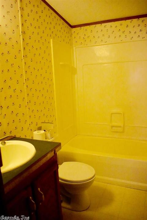 515 Damascus Rd, Quitman, AR 72131 photo 15