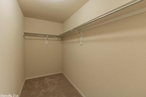 14613 Skyline Dr, Alexander, AR 72002 photo 13