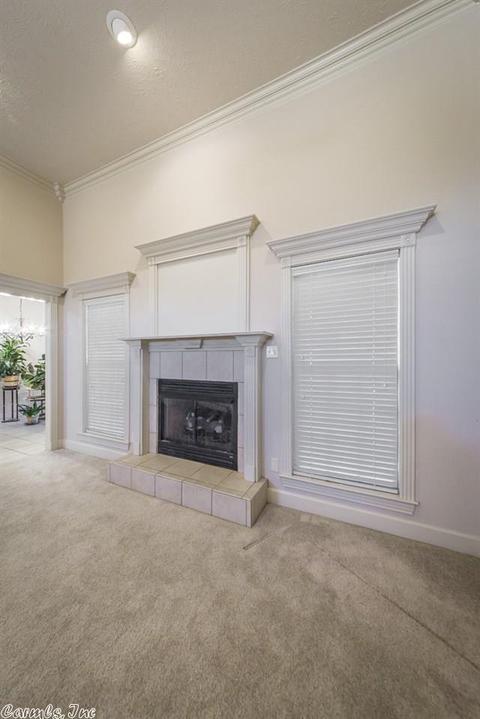 160 Grapevine, Conway, AR 72034 photo 15