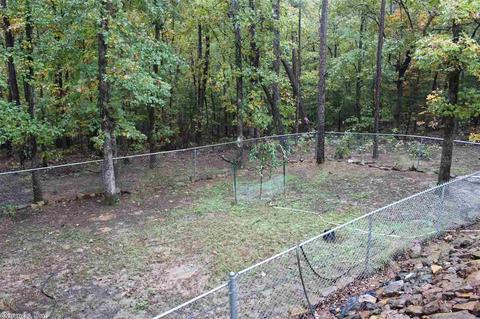 55 Bryces Trl, Higden, AR 72067 photo 30