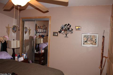 55 Bryces Trl, Higden, AR 72067 photo 17