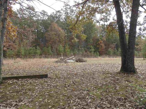 556 Wagon Cir, Higden, AR 72067 photo 18