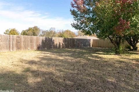 3950 Cirrus, Conway, AR 72034 photo 40
