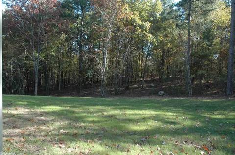 377 Reuben Dr, Alexander, AR 72002 photo 35