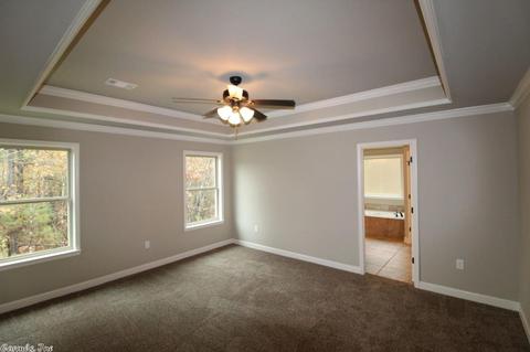 377 Reuben Dr, Alexander, AR 72002 photo 19