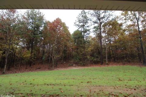 377 Reuben Dr, Alexander, AR 72002 photo 36