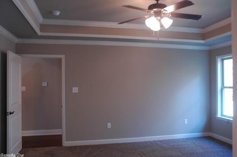 377 Reuben Dr, Alexander, AR 72002 photo 17