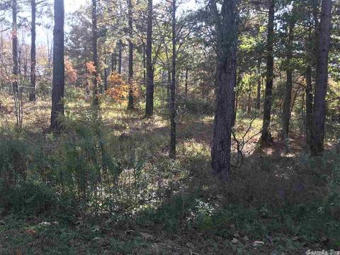 7302 W Shadow Rdg, Benton, AR 72019 photo 5