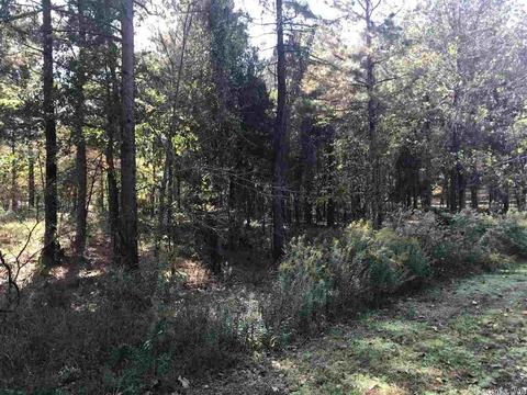 7302 W Shadow Rdg, Benton, AR 72019 photo 3