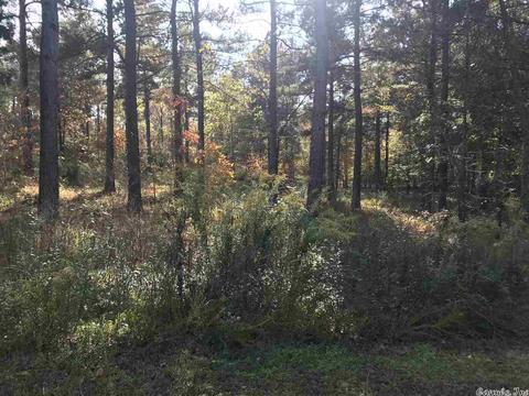 7302 W Shadow Rdg, Benton, AR 72019 photo 4