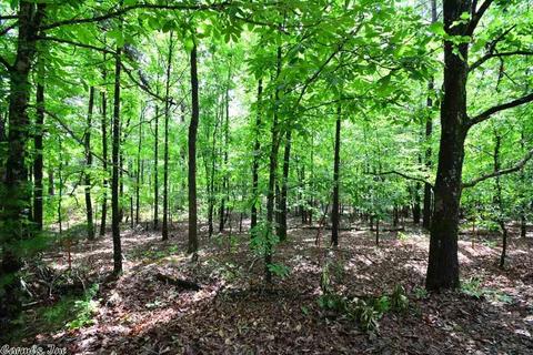 136 Beagle Run Rd, Beebe, AR 72012 photo 16