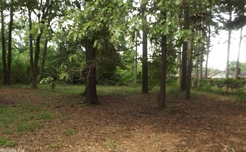 14 King Richard Cv, Pine Bluff, AR 71603 photo 13