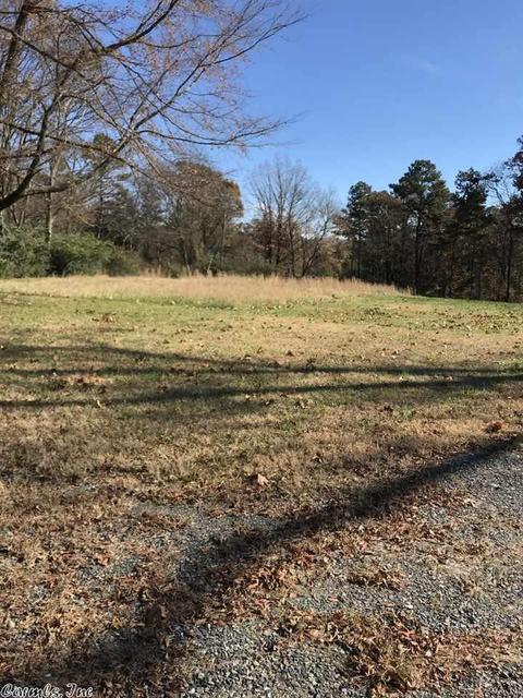 369 Polk Road 94, Mena, AR 71953 photo 2