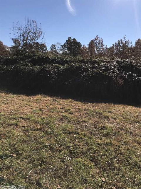 369 Polk Road 94, Mena, AR 71953 photo 36