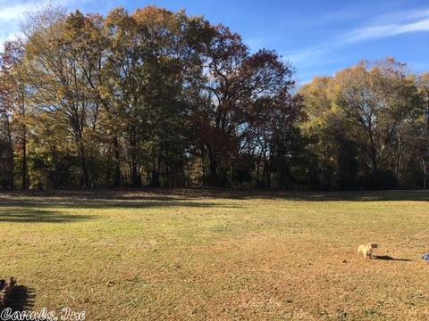 47 Colt Loop, Greenbrier, AR 72058 photo 37