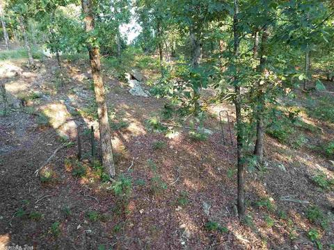 409 Ramble, Kirby, AR 71921 photo 21