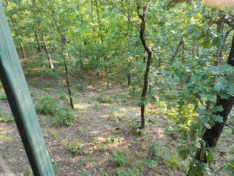 409 Ramble, Kirby, AR 71921 photo 20
