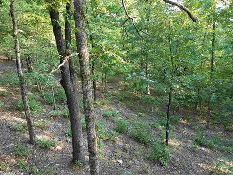 409 Ramble, Kirby, AR 71921 photo 19