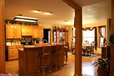 145 Frog Level Rd, Horatio, AR 71842 photo 4