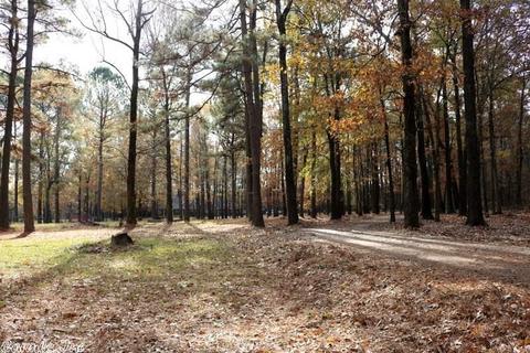 145 Frog Level Rd, Horatio, AR 71842 photo 12