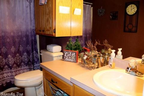 145 Frog Level Rd, Horatio, AR 71842 photo 7