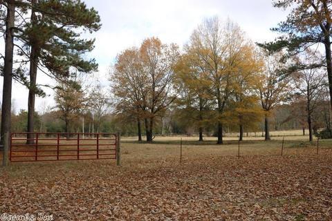 145 Frog Level Rd, Horatio, AR 71842 photo 13