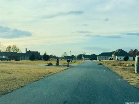 49 Planters Row, Scott, AR 72124 photo 3