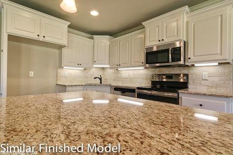 29 Hillsboro, Austin, AR 72007 photo 18